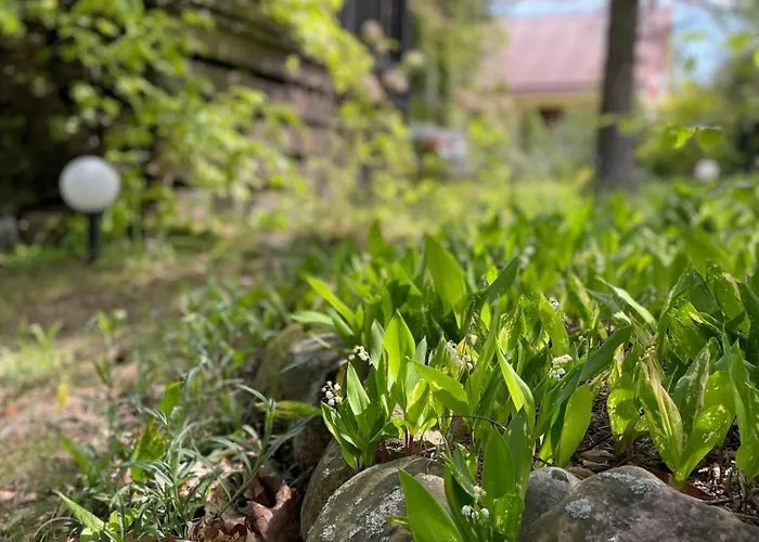 Vila Kaszubski Zakatek